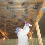 Using Leaves for the pattern on the ceiling.