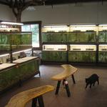 Chuck completed the hedge benches with glass flower inlays for customer comfort while shopping for fish.  8/10/13