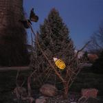 Spider web was created by manipulating metal robs. The fused glass spider is 17 inches long and the butterfly is metal with inlay of glass. Everything is mounted on hedge limbs with spot lights on at night to illuminate the sculpture.