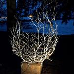 Eagles Nest powder coated sculpture with copper wire weave. Night time view.