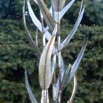 Cornstalk steel sculpture! 12/20/14